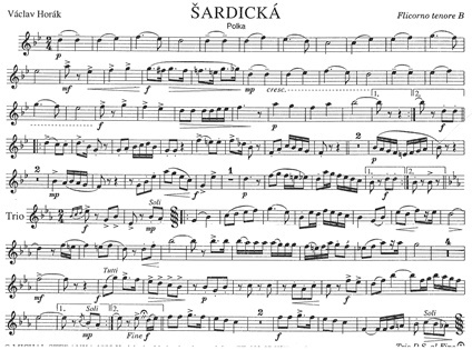 Sardicka-Ten..