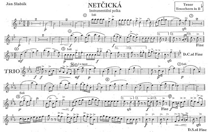 Netcicka-Ten