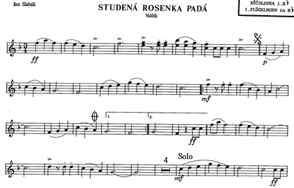 Rosenkavalier-Flg.1.