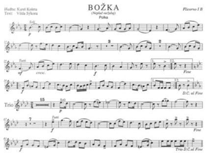 Bozka-Flg
