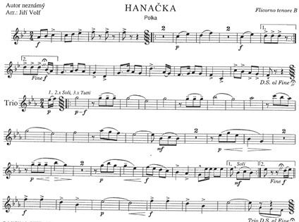 Hanacka-Tenorhorn
