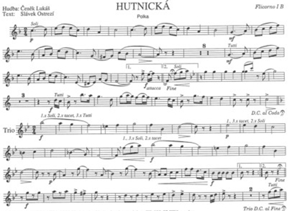 Hutnicka-Flg.