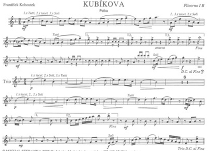 Kubikova-Flg