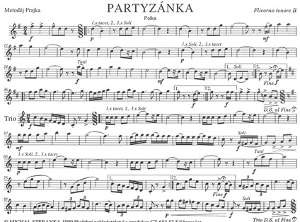 Partyzanka-Ten.