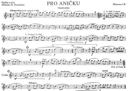 Pro_Anicku-Flg