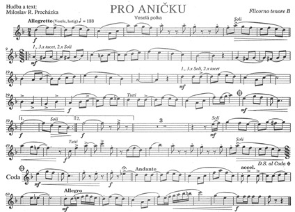 Pro_Anicku-Ten.