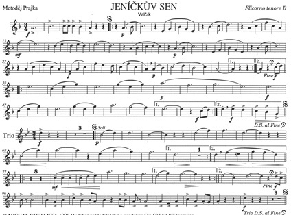 Jenickuv_sen-Ten.
