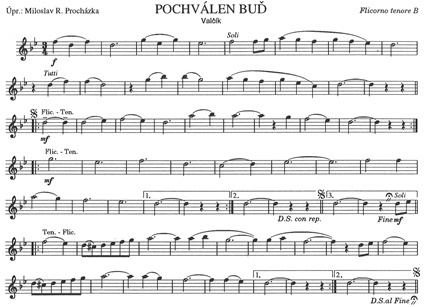 Pochvalen_bud-Ten-Prochazka
