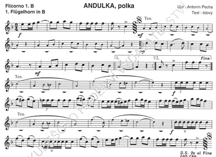 Andulka-Flg.