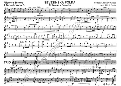 Polka_aus_Sevetin-Ten.