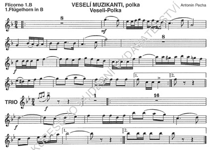 Veseli-Polka-Flg.